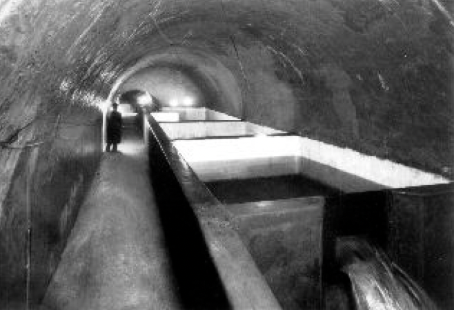 descrizione immagine