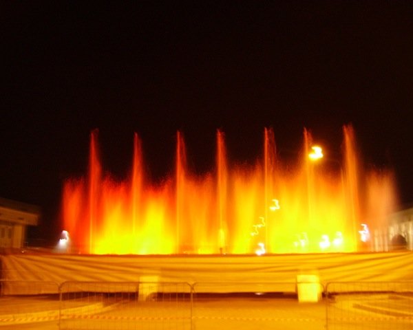 descrizione immagine