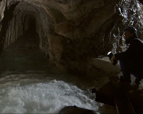 descrizione immagine