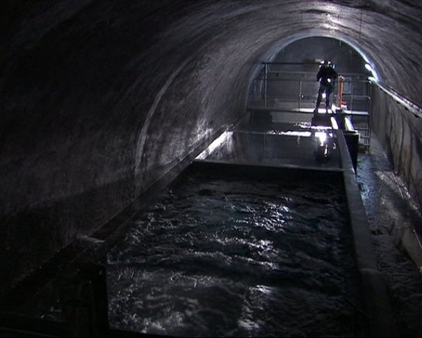 descrizione immagine