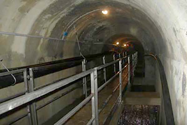 descrizione immagine