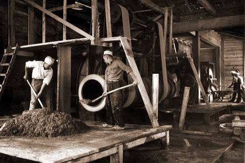 descrizione immagine