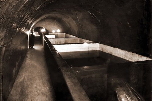 descrizione immagine